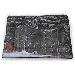 Outhouse Pet Training Mat Winter Forest in Snow with Little Cute Barn Lumberjack Shed Art Photo Super Soft Pet Cushion Dark Green and White