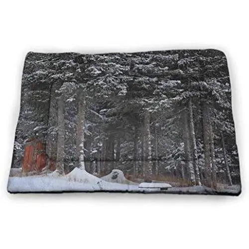 Outhouse Pet Training Mat Winter Forest in Snow with Little Cute Barn Lumberjack Shed Art Photo Super Soft Pet Cushion Dark Green and White Outhouse Pet Training Mat Winter Forest in Snow with Little Cute Barn Lumberjack Shed Art Photo Super Soft Pet Cushion Dark Green and White