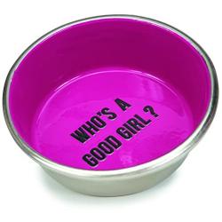Proselect Chitchat Stainless Steel Dog Bowl