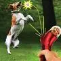 DishyKooker Home Dog Snack Catapult Launcher Dog Cat Treat Launcher Snack Food Feeder Catapult Pet Interactive Training Toys Convenient Items DishyKooker Home Dog Snack Catapult Launcher Dog Cat Treat Launcher Snack Food Feeder Catapult Pet Interactive Training Toys Convenient Items