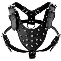 Didog Leather Spiked & Studded Medium & Large Dog Harness for Pit Bulldog Mastif