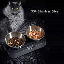 Soly Teche Cat Bowls for Food and Water, Double Cat Bowls with Stand Elevated 15° Tilted Raised Cat Bowl Stainless Bowl for Cats