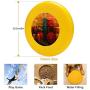 Pet Frisbee Flying Disc Dog Toy - Multifunction Urban Wall Kanayo Ede