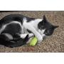 OurPets 100% North American Catnip Filled Cat Toys (Interactive Cat Toys for Indoor Cats, Kitten Toy, Cat Chew Toy & Catnip Toys for Cats) Great for Cats who enjoy Catnip & Interactive Cat Toys
