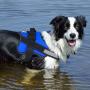 Bolux Dog Harness, No-Pull Reflective Breathable Adjustable Pet Vest with Handle for Outdoor Walking - No More Pulling, Tugging or Choking