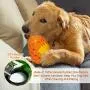 2021 Hswaye Dragon Egg Dog Chew Toys for Aggressive Chewer Large Breed.Tough Dog Dental Chew Toys.Indestructible Dog Toys for Small Medium Large Dogs.Orange 2021 Hswaye Dragon Egg Dog Chew Toys for Aggressive Chewer Large Breed.Tough Dog Dental Chew Toys.Indestructible Dog Toys for Small Medium Large Dogs.Orange