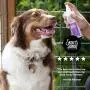 SKOUTS HONOR: Probiotic Deodorizer - 8 fl. oz. - Hydrates and Deodorizes Fur, Supports Pet’s Natural Defenses, PH-Balanced and Sulfate Free - Avocado Oil SKOUTS HONOR: Probiotic Deodorizer - 8 fl. oz. - Hydrates and Deodorizes Fur, Supports Pet’s Natural Defenses, PH-Balanced and Sulfate Free - Avocado Oil