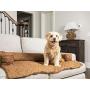 PetSafe Full Coverage Furniture Protector - Waterproof Chair and Sofa Cover for Dogs and Cats