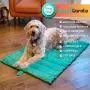 BomGaroto Portable Pet Mat - 46.5 x 33 Inch Cat and Dog Mat for Crate Bed, Dog Cage, Fireside or Camping! Waterproof Dog Beds for Medium Dogs and Small Dogs. Large Dog Bed with Storage Carry Bag BomGaroto Portable Pet Mat - 46.5 x 33 Inch Cat and Dog Mat for Crate Bed, Dog Cage, Fireside or Camping! Waterproof Dog Beds for Medium Dogs and Small Dogs. Large Dog Bed with Storage Carry Bag