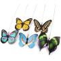 S-D-A Electric Rotating 360 Pet Cat Toys for Cats Toy Colorful Butterfly Bird Seat Scratch Funny Pet Toys for Cat Kitten Intelligence