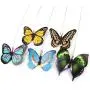 S-D-A Electric Rotating 360 Pet Cat Toys for Cats Toy Colorful Butterfly Bird Seat Scratch Funny Pet Toys for Cat Kitten Intelligence S-D-A Electric Rotating 360 Pet Cat Toys for Cats Toy Colorful Butterfly Bird Seat Scratch Funny Pet Toys for Cat Kitten Intelligence
