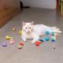 Pet Craft Supply Cat Toy Set - Multi Color cat accessories