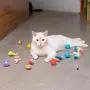 Pet Craft Supply Cat Toy Set - Multi Color cat accessories Pet Craft Supply Cat Toy Set - Multi Color cat accessories