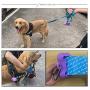 Portable Silicone Collapsible Dog Bowls and Dog Poop Bags Dispenser with 5 roll (100 pcs) Strong Plastic Bags and D-Ring
