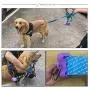 Portable Silicone Collapsible Dog Bowls and Dog Poop Bags Dispenser with 5 roll (100 pcs) Strong Plastic Bags and D-Ring Portable Silicone Collapsible Dog Bowls and Dog Poop Bags Dispenser with 5 roll (100 pcs) Strong Plastic Bags and D-Ring