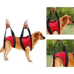 Dog Lift Harness Front Rear Dog Support, Adjustable Breathable Straps for Old, Disabled, Joint Injuries, Arthritis, Paralysis Dogs Walk,M