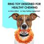 Dog Chew Toys for Puppies Teething, Super Value 14 Pack Puppy Toys for Small Dog Toys Squeaky Toys for Dogs Rubber Ball Dog Rope Toy Durable Pet Toys for Dogs Interactive Plush Dog Toys