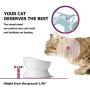 Y YHY Cat Bowls Elevated, Raised Cat Dish for Food and Water, Ceramic Water Bowl for Flat-Faced Cats or Small Dogs, No Spill,15 Ounces, Dishwasher Safe