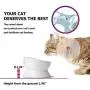 Y YHY Ceramic Raised Cat Food Water Bowl, 15 Ounce Slanted Cat Bowl, Tilt Angle Protect Cats Spine, Stress Free, Backflow Prevention, Gift for Cat, Cat Dish, White Y YHY Ceramic Raised Cat Food Water Bowl, 15 Ounce Slanted Cat Bowl, Tilt Angle Protect Cats Spine, Stress Free, Backflow Prevention, Gift for Cat, Cat Dish, White