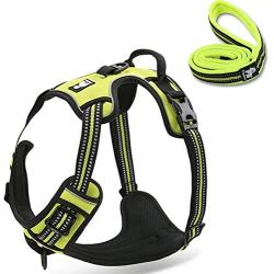 OLizee Reflective Nylon No-Pull Dog Harness and Training Leash Set Padded Durable Adjustable(S, Green Set)