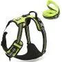 OLizee Reflective Nylon No-Pull Dog Harness and Training Leash Set Padded Durable Adjustable(S, Green Set) OLizee Reflective Nylon No-Pull Dog Harness and Training Leash Set Padded Durable Adjustable(S, Green Set)