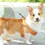 CHBORLESS Reflective Pet Dog Harness and Leash Set Wide Thick Comfortable Neck Chest Strap Padded Cotton Handle Nylon Dog Leash CHBORLESS Reflective Pet Dog Harness and Leash Set Wide Thick Comfortable Neck Chest Strap Padded Cotton Handle Nylon Dog Leash