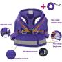 FEimaX Dog Harness and Leash Set, No Pull Reflective Adjustable Pet Vest Harnesses for Puppy Kitten, Soft Mesh Chest Harness for Small Medium Dogs and Cats - Easy Control for Outdoor Walking