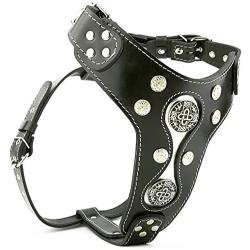 The Hektor Genuine Leather Studded Dog Harness
