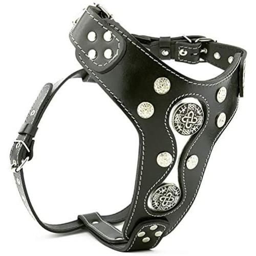 The Hektor Genuine Leather Studded Dog Harness
