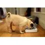 Sure Petcare - SureFeed - Motion Activated Sealed Pet Bowl Sure Petcare - SureFeed - Motion Activated Sealed Pet Bowl