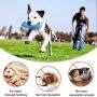 Dog Toothbrush Teeth Cleaning Chew Toys Puppy Brushing Stick Dental Oral Care for Small Medium Dogs Pet Dog Toothbrush Teeth Cleaning Chew Toys Puppy Brushing Stick Dental Oral Care for Small Medium Dogs Pet