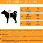 Wealer Dog Harness Leash Set for Small and Medium Dogs Adjustable Soft Training Handle All Weather Mesh Pet Harness