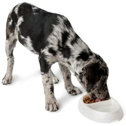 Petmate Ultra Lightweight Double Diner Pet Bowl