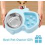 Ordermore Slow Feeder Bowl for Small Dogs & Cats