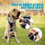 Petties&Sweeties No Pull Dog Harness, Reflective Adjustable Soft Padded Vest Unique Colors,with a Easy Control Training Handle