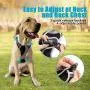 Petties&Sweeties No Pull Dog Harness, Reflective Adjustable Soft Padded Vest Unique Colors,with a Easy Control Training Handle