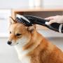 HANMEI Pet Hair Dryer for Dogs Cats, 2 in 1 Pet Gooming Blower Dryer 1000W with Low Noise for for Medium Small Pets