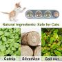Yeteng Catnip Ball for Cat Licking, Natural Edible Catnip Wall Ball, Catnip Wall Lick Snacks, Catnip Rotatable Licking Treats Toys for Cats Kitten Kitty