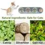 Yeteng Catnip Ball for Cat Licking, Natural Edible Catnip Wall Ball, Catnip Wall Lick Snacks, Catnip Rotatable Licking Treats Toys for Cats Kitten Kitty Yeteng Catnip Ball for Cat Licking, Natural Edible Catnip Wall Ball, Catnip Wall Lick Snacks, Catnip Rotatable Licking Treats Toys for Cats Kitten Kitty