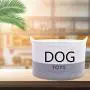 Morezi Cotton Rope Round Dog Toy Basket with Handle, Large Dog bin - Perfect for organizing pet Toys, Blankets, leashes