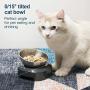 EZMioo Elevated Cat Bowls with 1 Stainless Steel Bowls, 15° Tilted Raised Cat Food and Water Bowls, Stress Free Food Grade Material, Nonslip No Spill Pet Feeding Bowls for Cat and Small Dogs