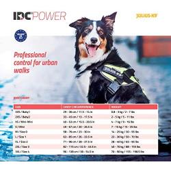 Julius-K9, 16IDC-B-1, IDC Powerharness, dog harness, Size: 1, Blue