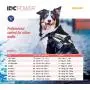 Julius-K9 IDC Powerharness, Dog Harness