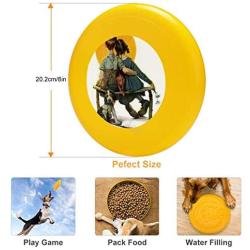 Pet Frisbee Flying Disc Dog Toy - Multifunction Sunset