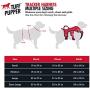 Tracker - No Pull Dog Harness | Front And Back Leash Attachment Points | 3M Reflective Stitching Increases Safety At Night | 5 Point Adjustable Fit Harness For Dogs | Padded Dog Harness For Comfort
