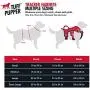 Tracker - No Pull Dog Harness | Front And Back Leash Attachment Points | 3M Reflective Stitching Increases Safety At Night | 5 Point Adjustable Fit Harness For Dogs | Padded Dog Harness For Comfort Tracker - No Pull Dog Harness | Front And Back Leash Attachment Points | 3M Reflective Stitching Increases Safety At Night | 5 Point Adjustable Fit Harness For Dogs | Padded Dog Harness For Comfort