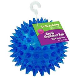 Gnawsome 2.5” Spiky Squeaker Ball Dog Toy - Small, Cleans teeth and Promotes Dental and Gum Health for Your Pet, Colors will vary