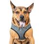 Pet Life Checkerwag Checkered Buttoned Mesh Reversible And Breathable Adjustable Dog Harness