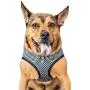 Pet Life Checkerwag Checkered Buttoned Mesh Reversible And Breathable Adjustable Dog Harness Pet Life Checkerwag Checkered Buttoned Mesh Reversible And Breathable Adjustable Dog Harness