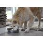 OurPets DuraPet Slow Feed Premium Stainless Steel Dog Bowl (Durable Stainless Steel Dog Bowls, Slow Feeder Dog Bowls, Dog Food Bowl, Dog Water Bowl) Great Alternative to Snuffle Mat for Dogs
